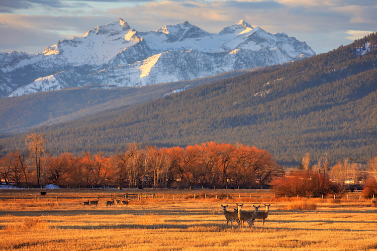 Across The Great Divide Seven Days in September (Part 2) Meyer Sign