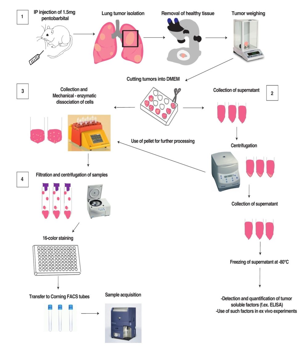 LAB METHODS Meylan Lab