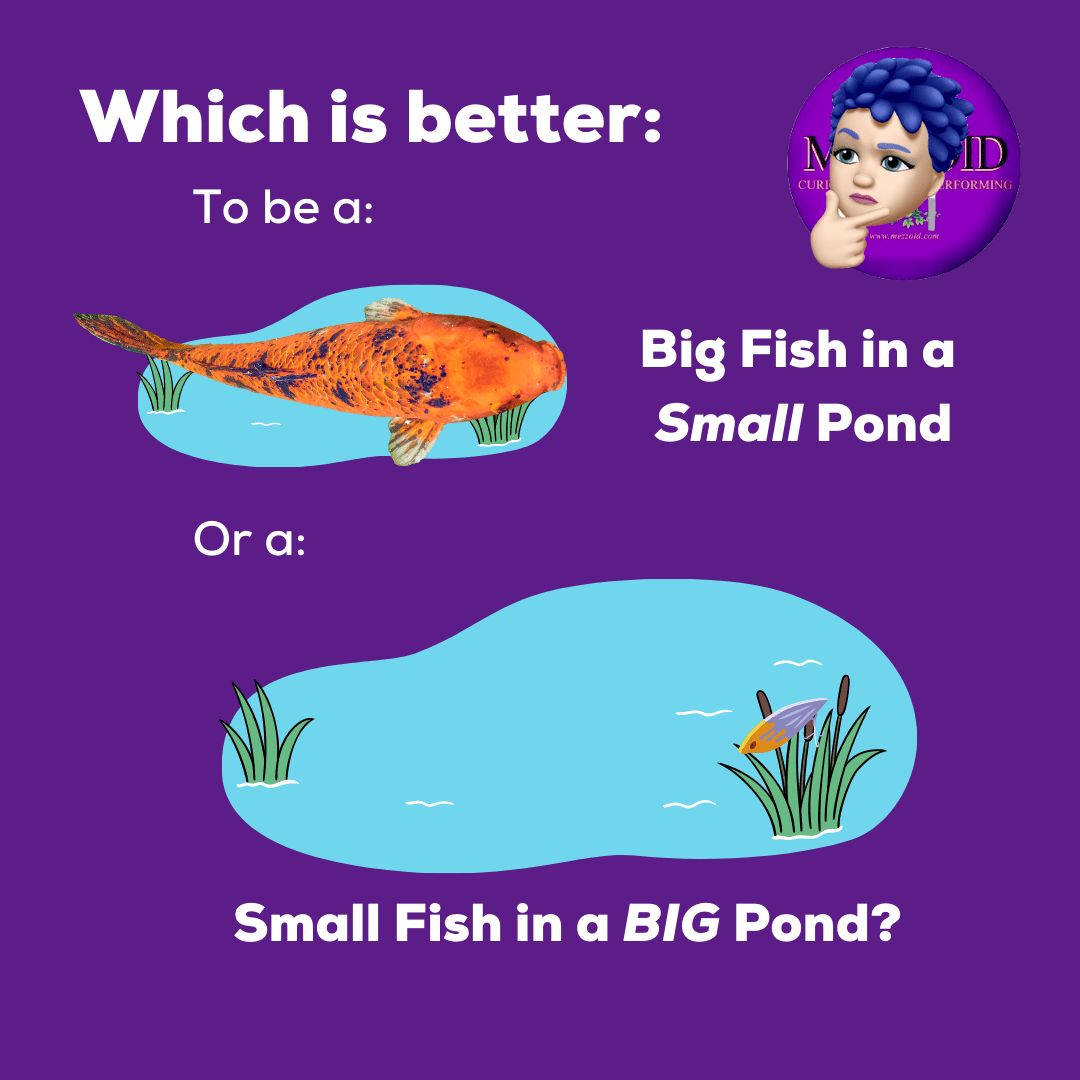 Big Fish, Small Pond? - Mezzoid Voice Studio, LLC™