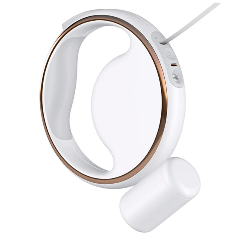 Hundeleine für kleine & mittlere Hunde mit eingebauter Lampe | mfa