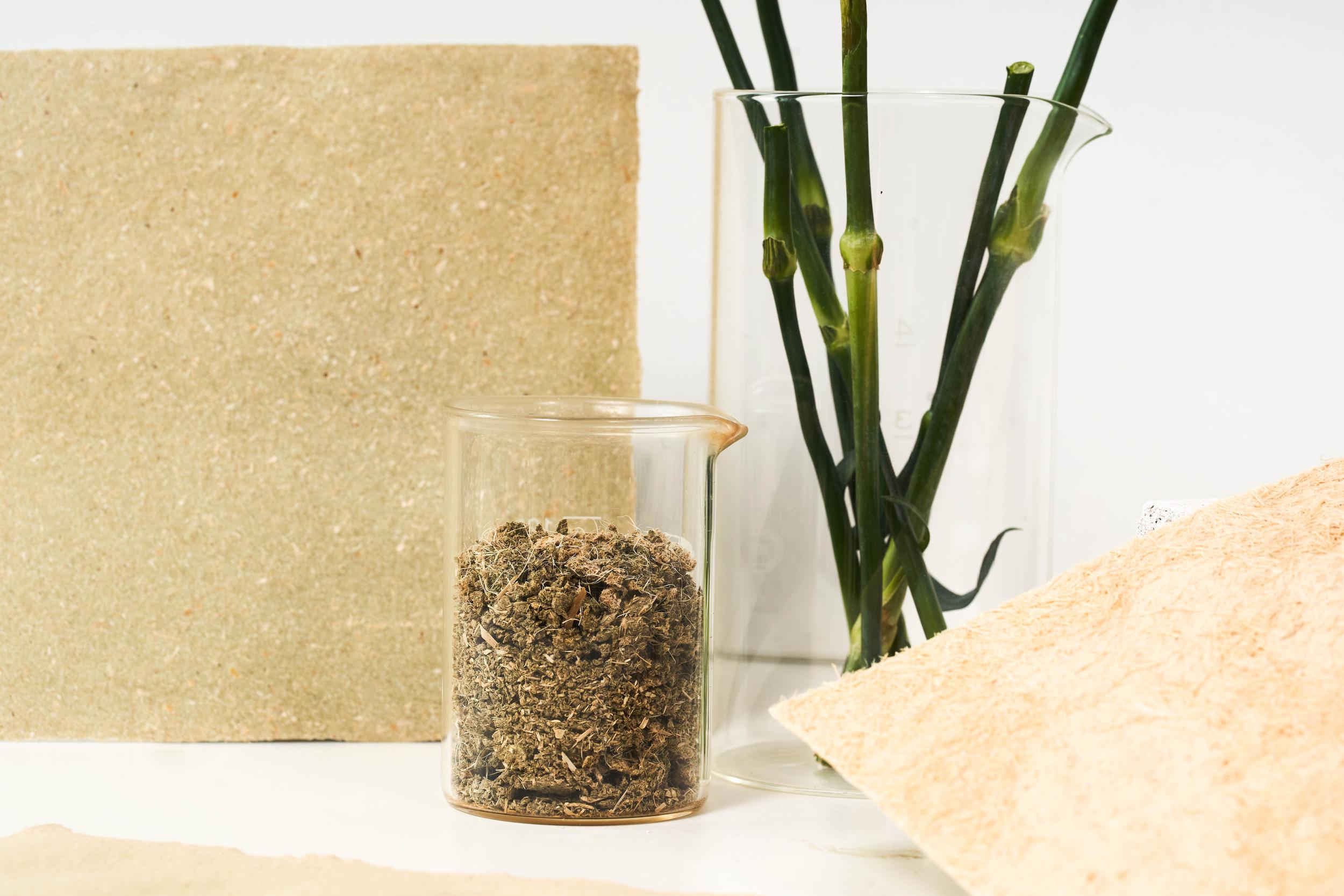 „Flower Matter“ zoom session MFA