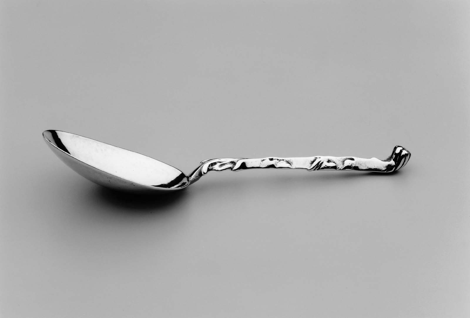 Spoon Museum of Fine Arts, Boston