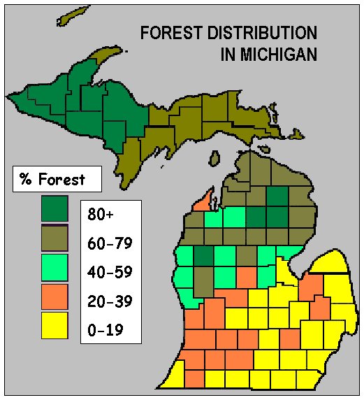 Michigan Forest Facts