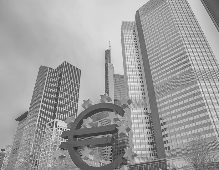 Netherlands VAT MFFA Belastingadvies Tax Advice