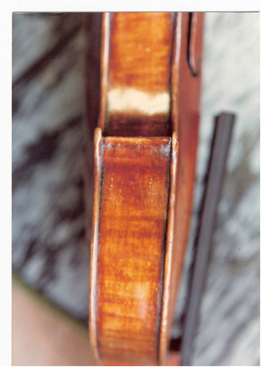 Completed ribs after wood added Michael Fischer Violin Shop