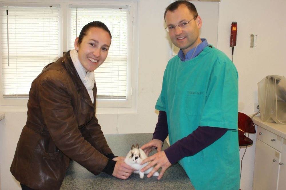 clinique veterinaire st germain en laye Services et equipe