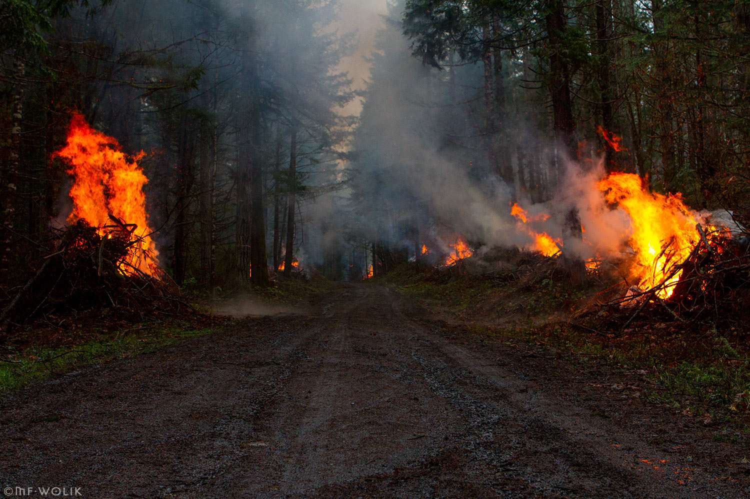 Cerro Gordo Fire MF Wolik Photography