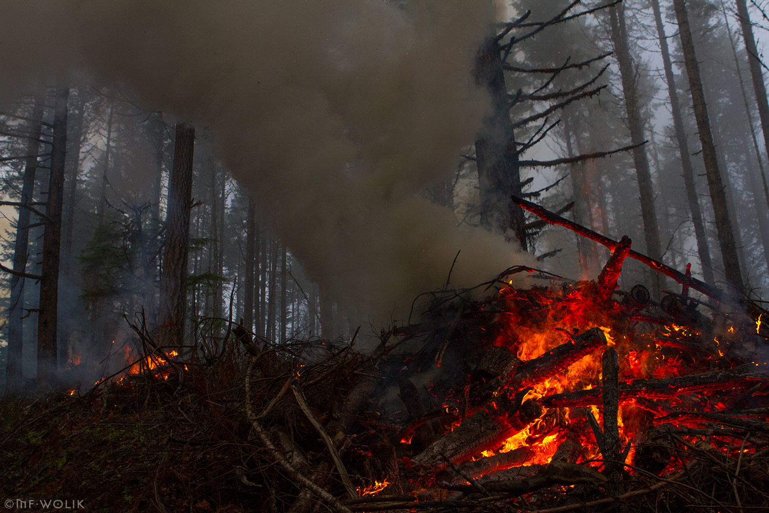 Cerro Gordo Fire MF Wolik Photography