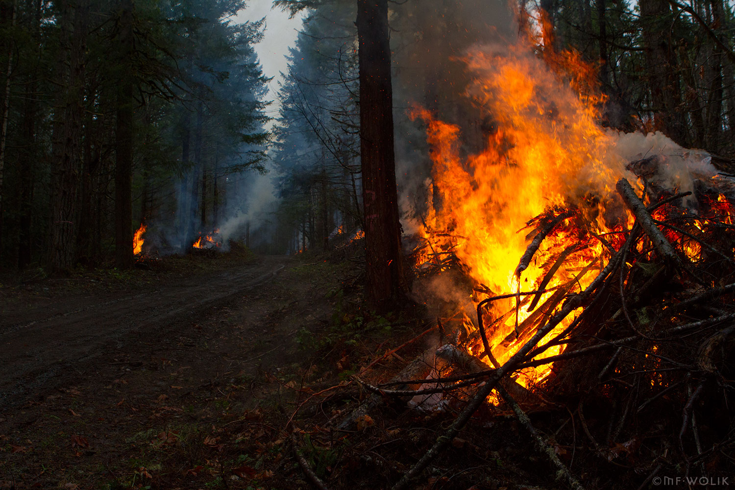 Cerro Gordo Fire MF Wolik Photography