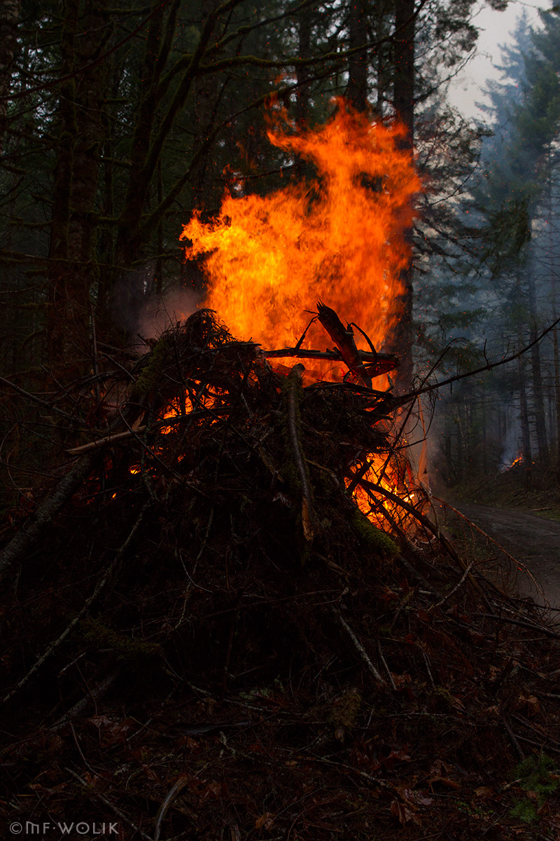 Cerro Gordo Fire MF Wolik Photography
