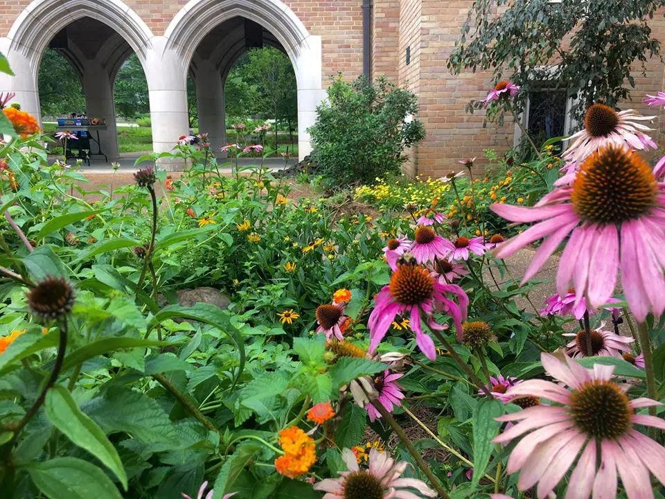 Green Grace Gardens & Grounds Master Gardeners of Hamilton County