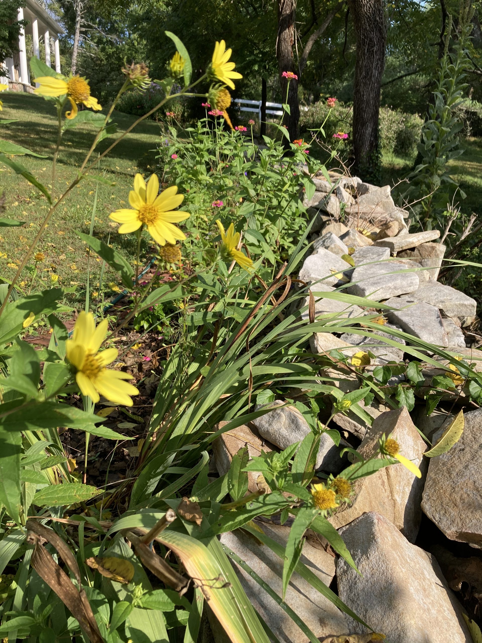 McCoy Farm & Gardens Master Gardeners of Hamilton County