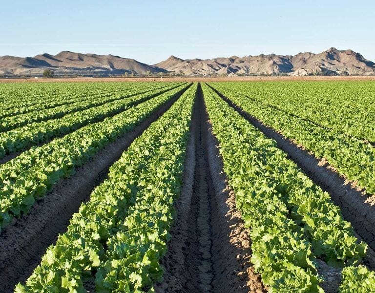 CENTURY 21 Action Group Yuma AZ Real Estate Experts