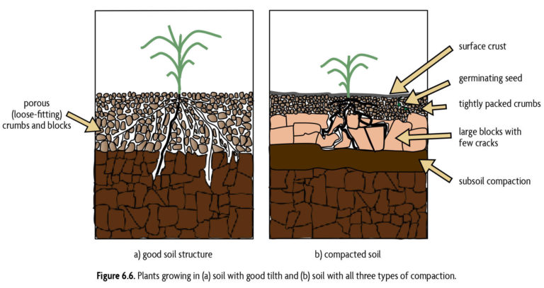 Building Your Soil | Master Gardeners of Northern Virginia