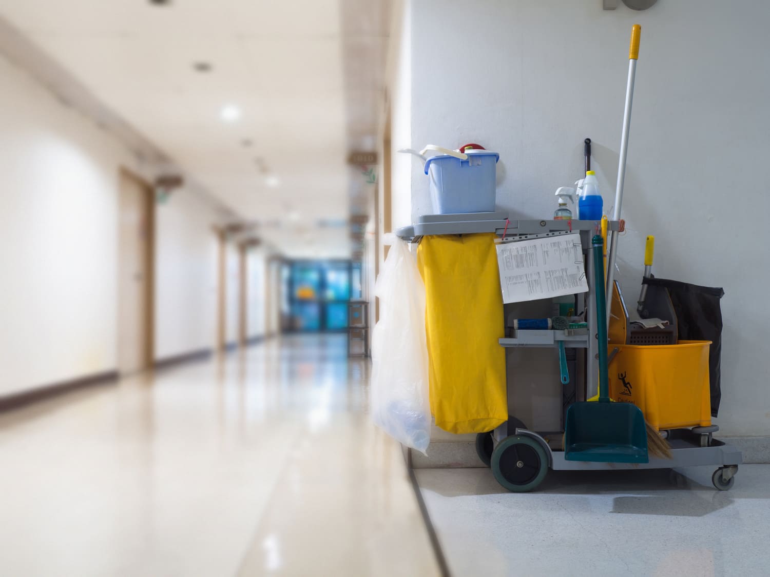 MG Professional Cleaning Wide Range of Janitorial MG Professional Cleaning Wide Range of Janitorial