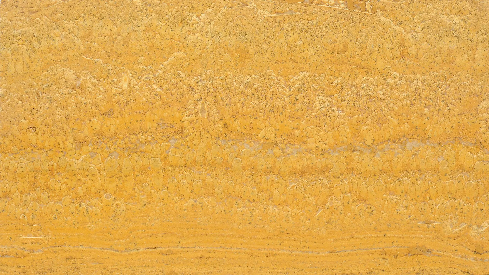 Gold Travertine MGT Stone Co