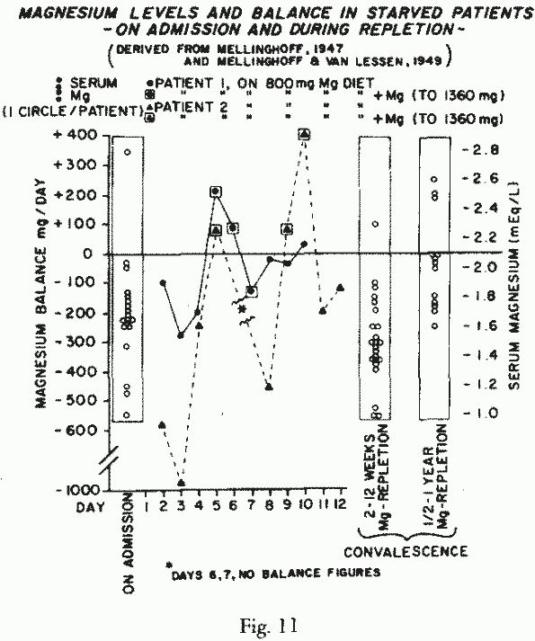 Magnesium Requirements in Human Nutrition, by Dr. Mildred S. Seelig