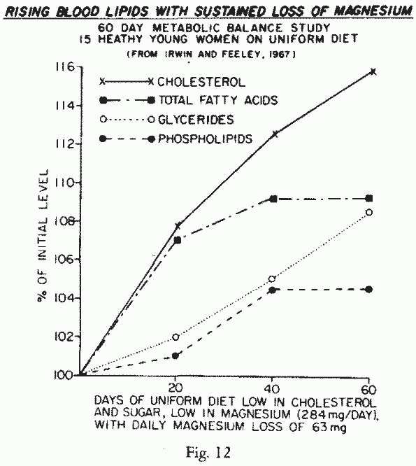 Magnesium Requirements in Human Nutrition, by Dr. Mildred S. Seelig