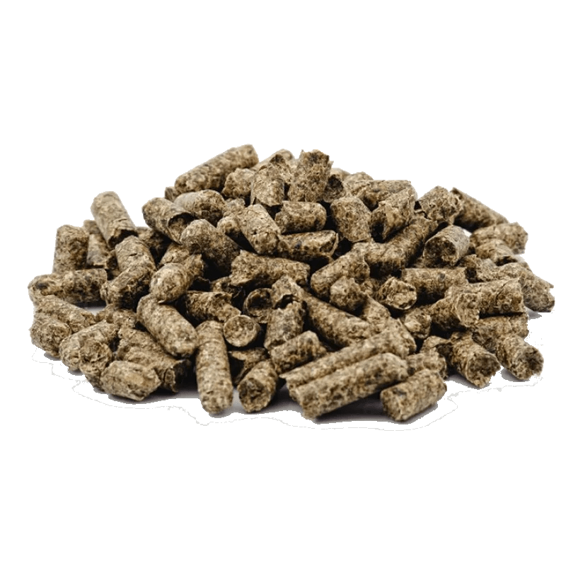 Sunflower Meal MH C GROUP APS