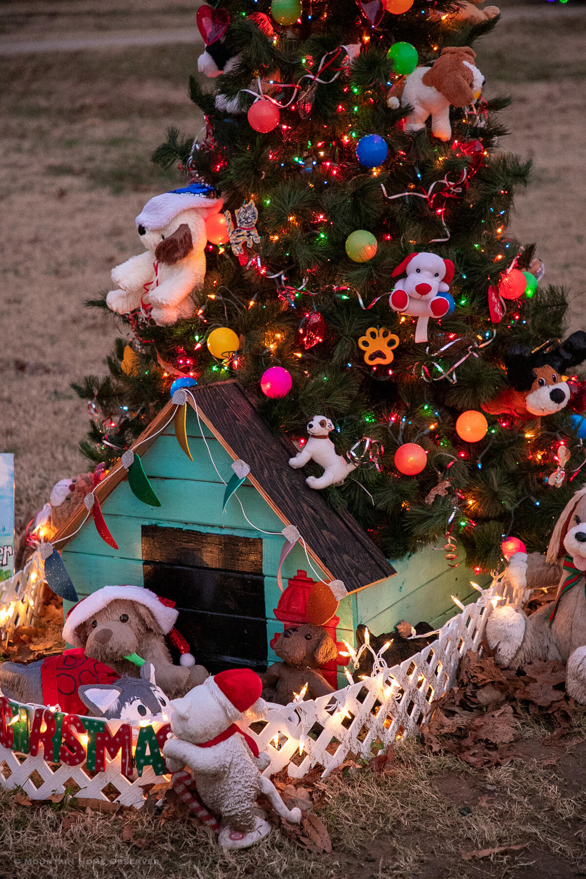 Christmas lights up the night with city’s annual “Christmas in Cotter