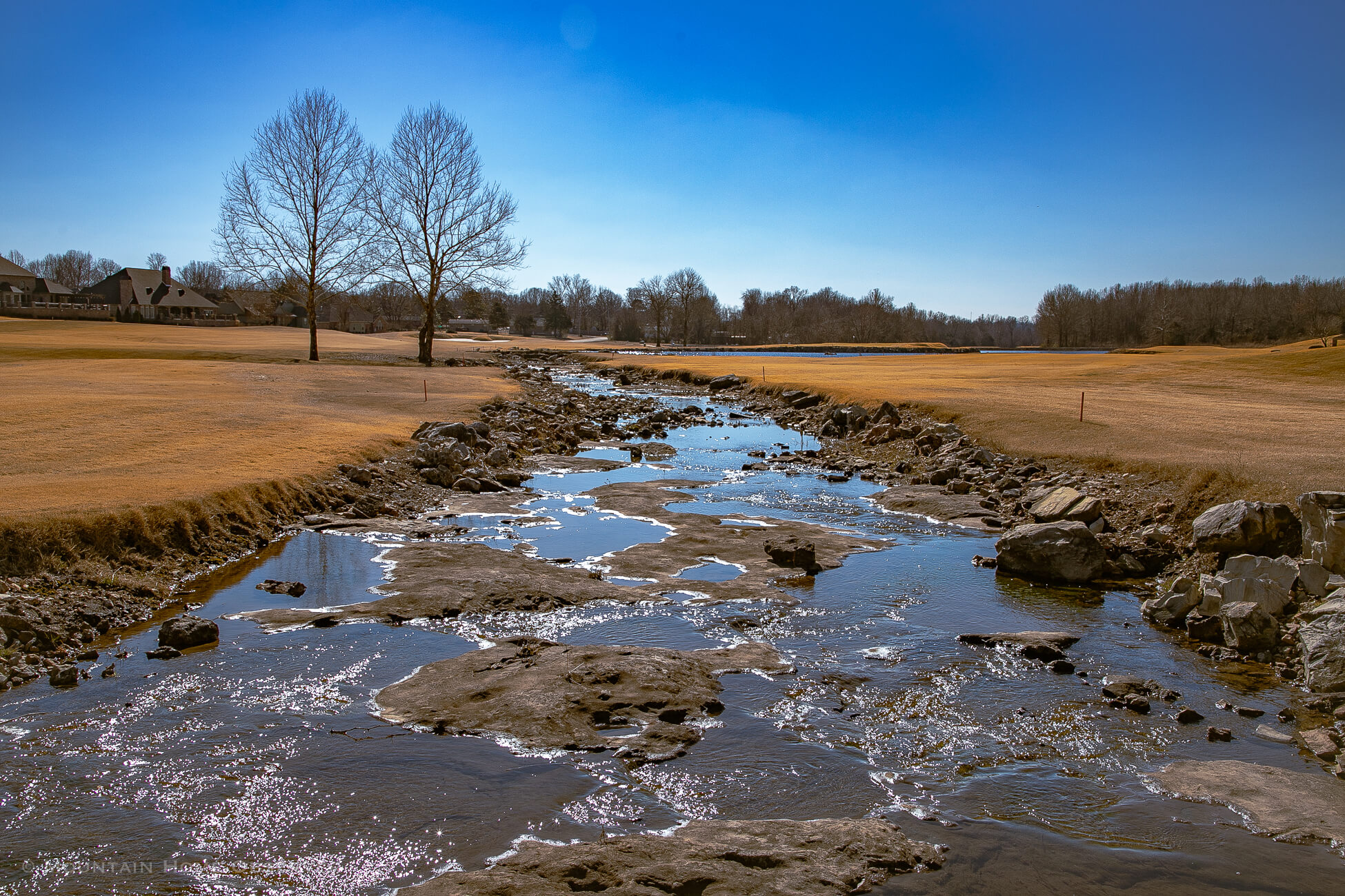 About Mountain Home Observer