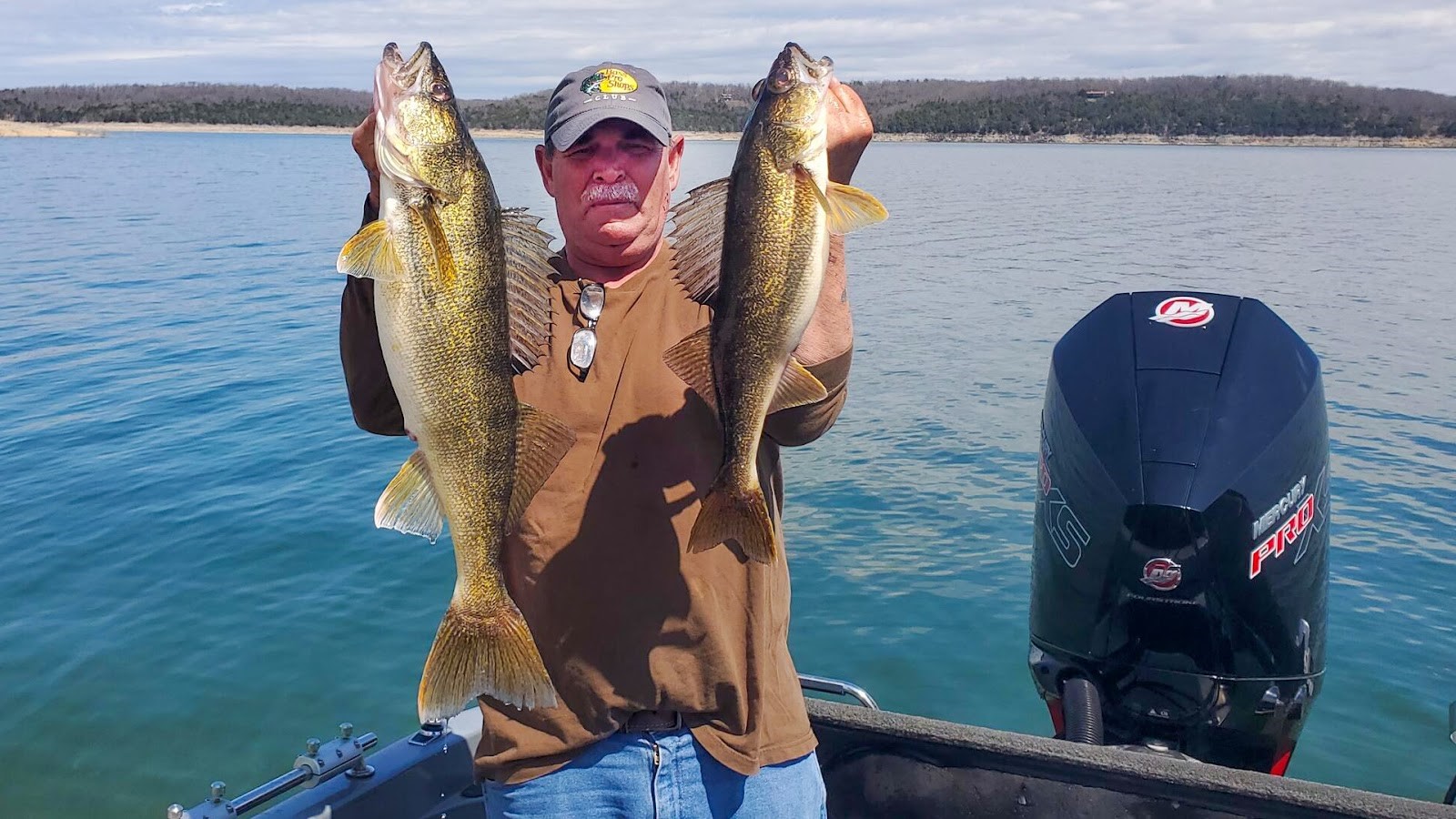 Walleye production high on Bull Shoals, Norfork lakes Mountain Home