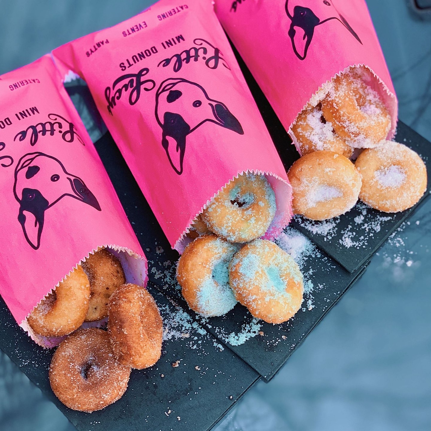 Best Places to Get Donuts in Austin The Trailblazer