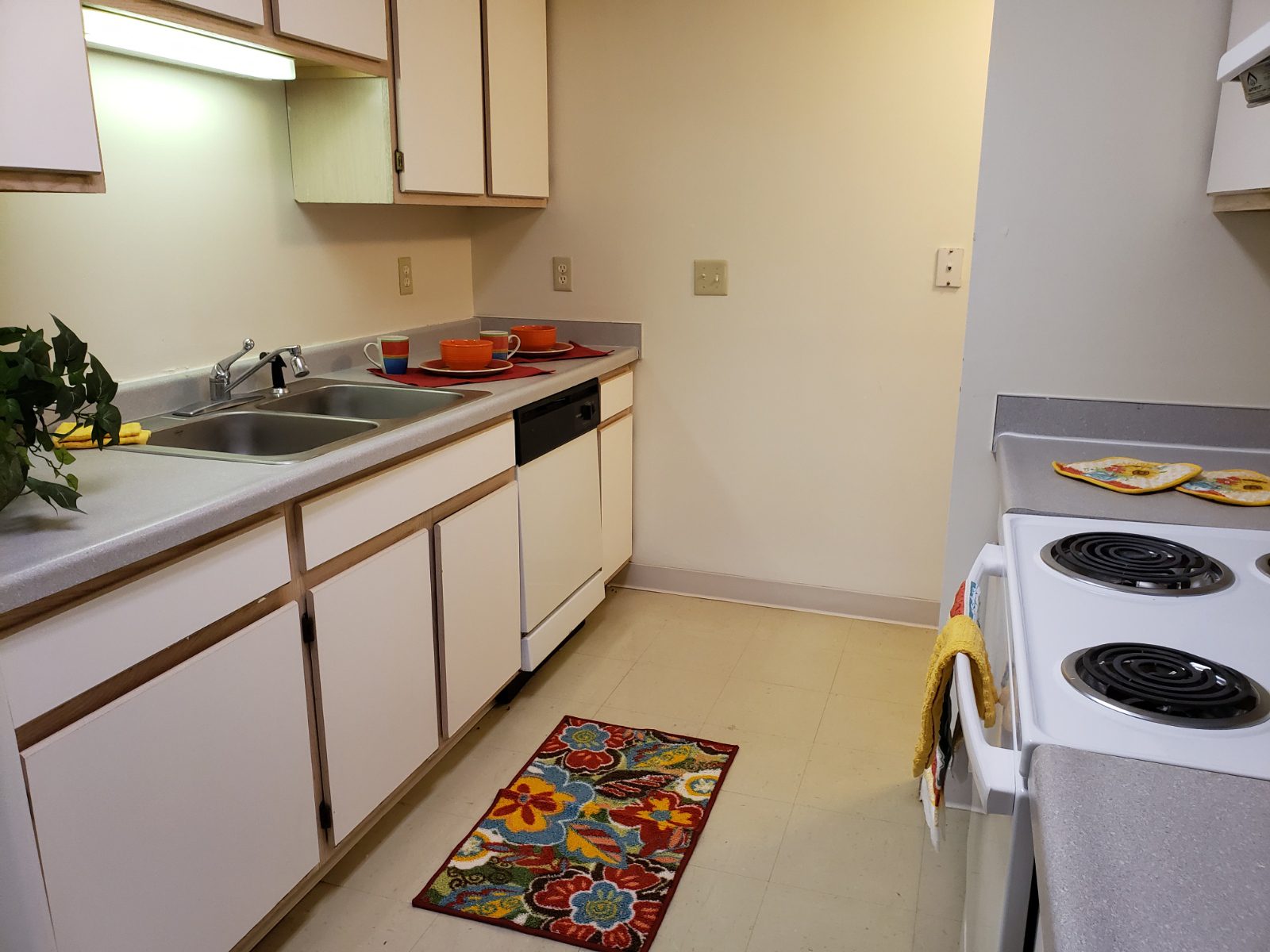 Shiloh Commons Continental Management