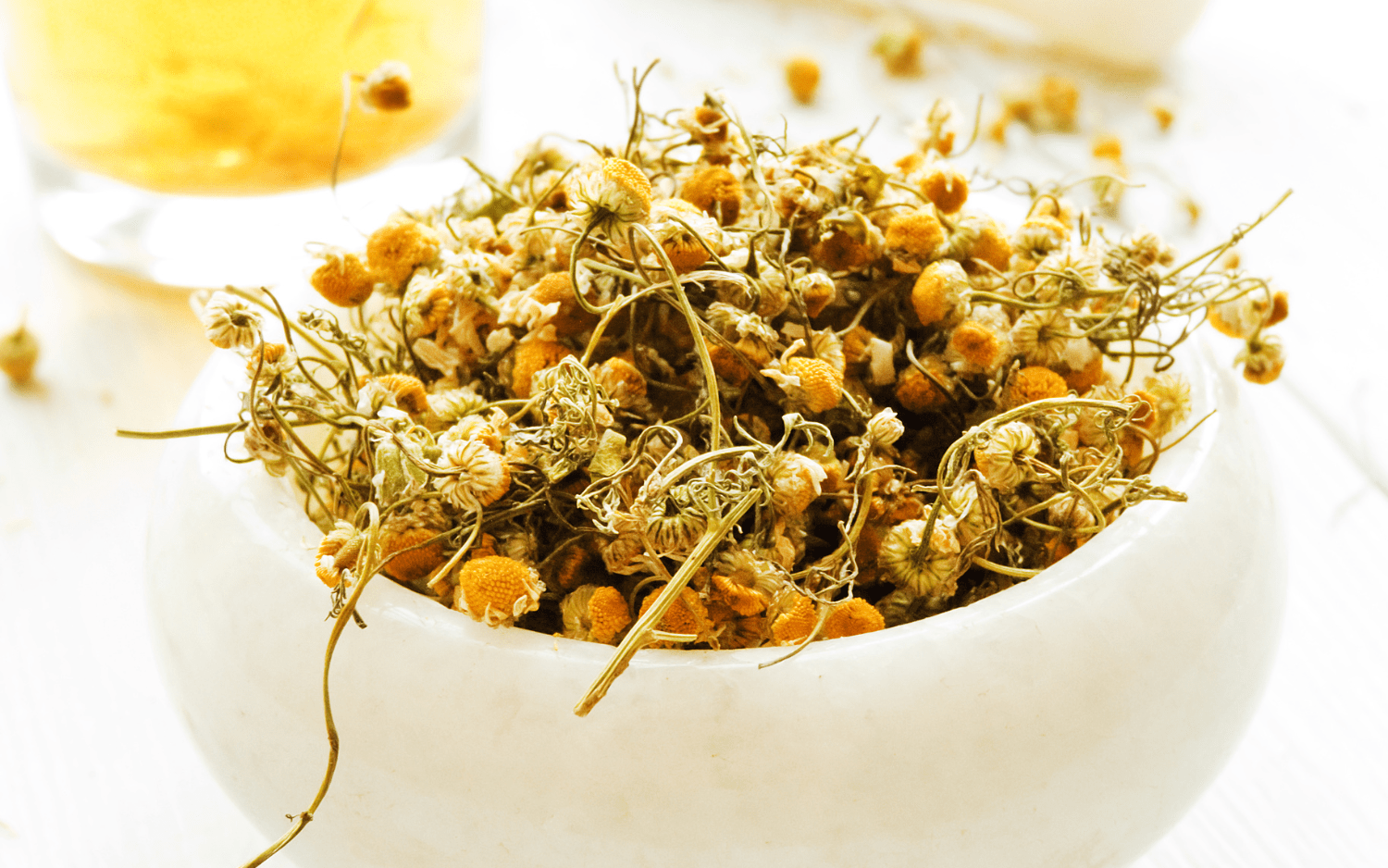 Herbs That May Support Positive Mental Health MH Thrive