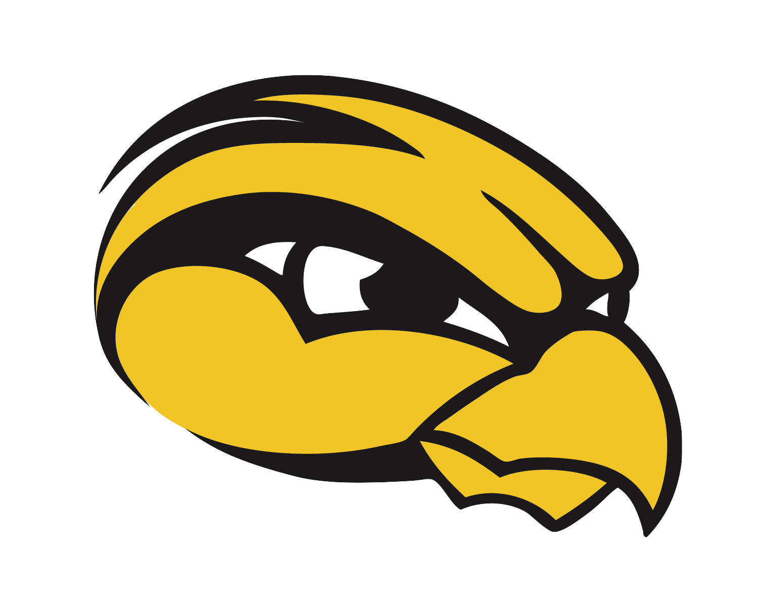 Hamilton Community Schools MiCoOp District Highlight