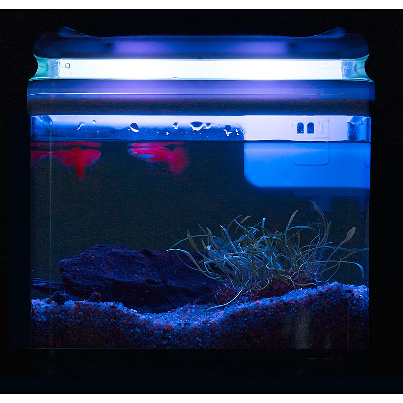 Aquarium TransportFischbecken mit Filter, LEDBeleuchtung und USB, 3