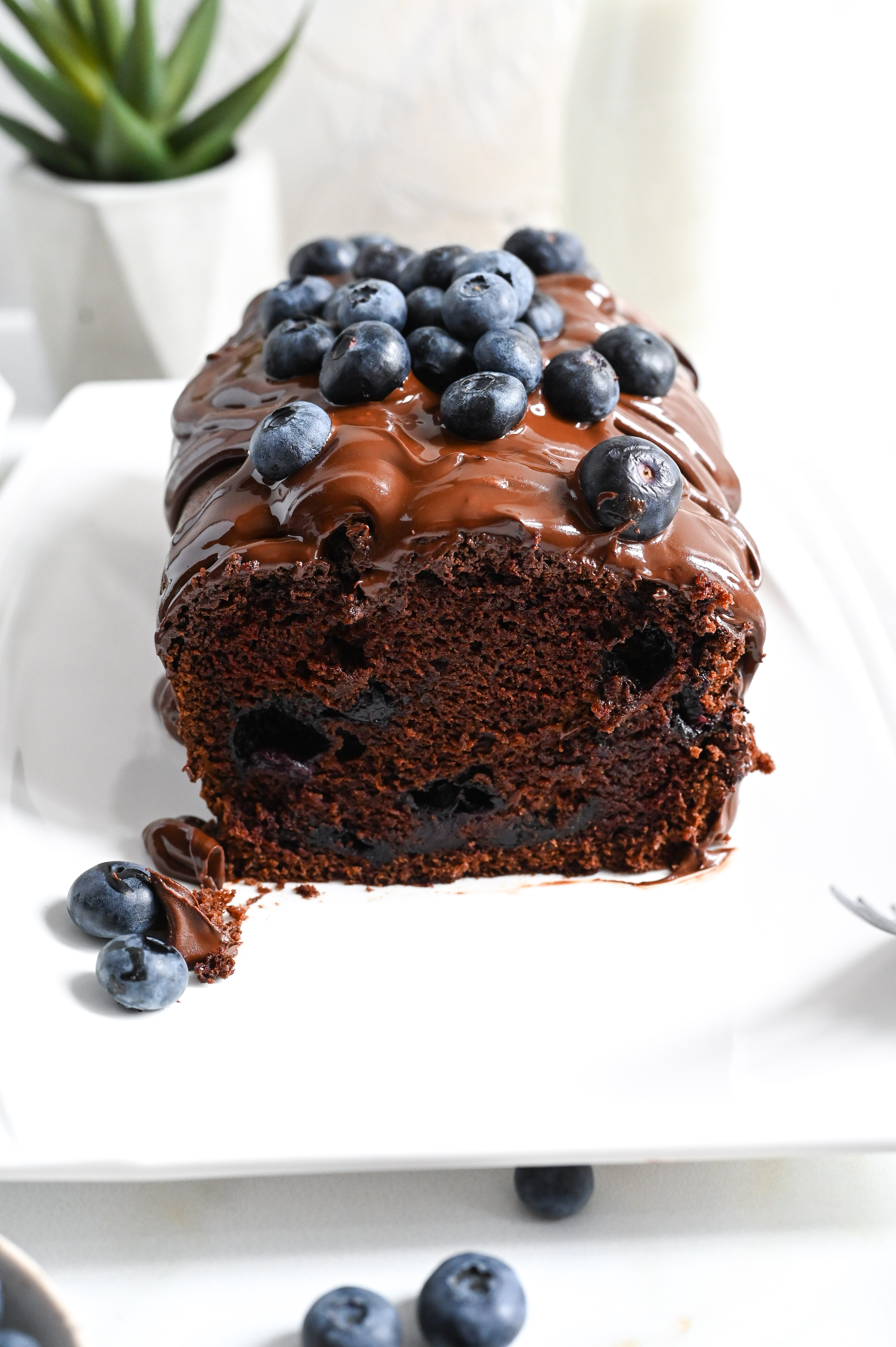 A vegan cake rich with chocolate flavour, blueberries and a chocolate glaze