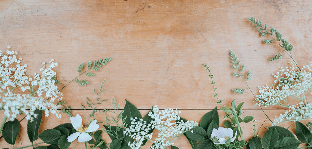 Miami Flower Market Bulk Wholesale Flowers in South FL