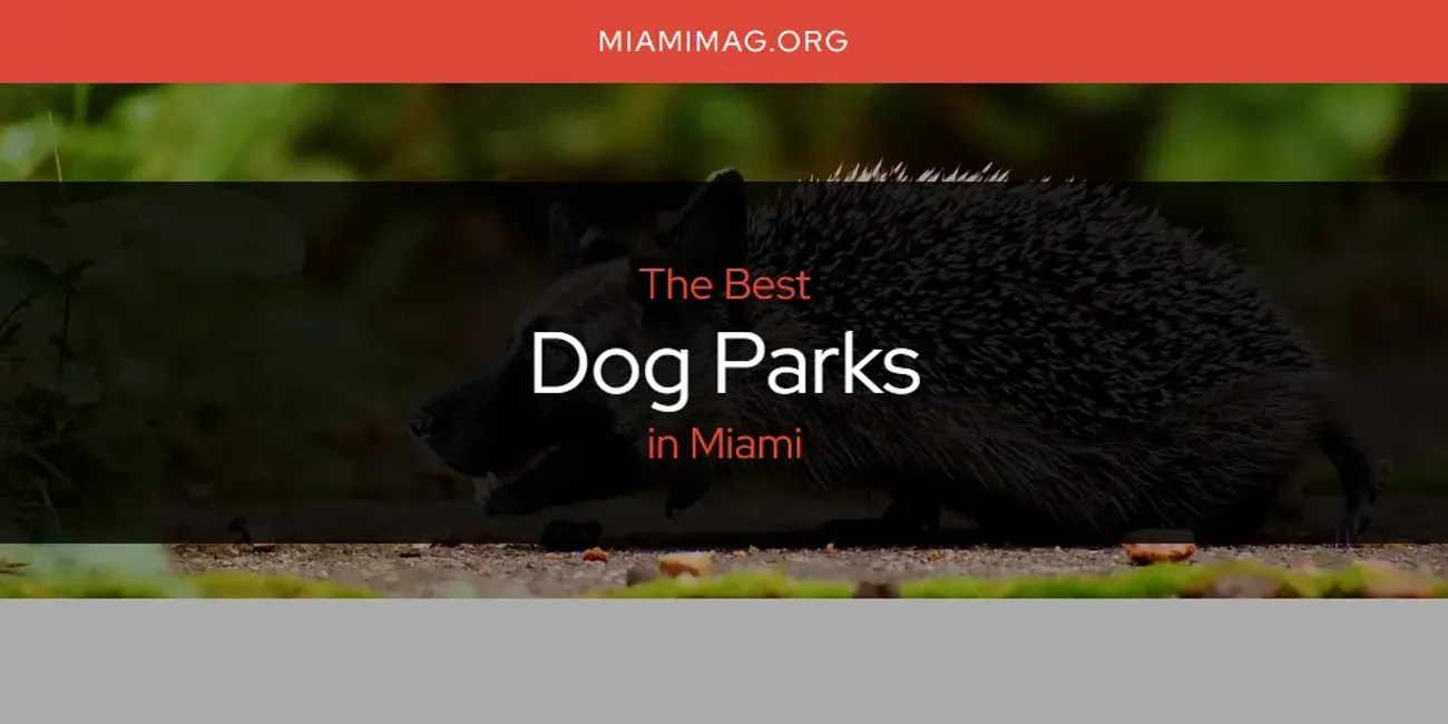 Miami's Best Dog Parks [Updated 2024]