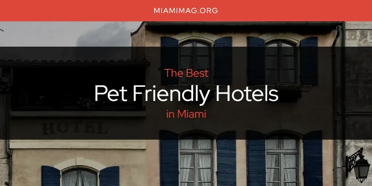 Miami's Best Pet Friendly Hotels [Updated 2024]