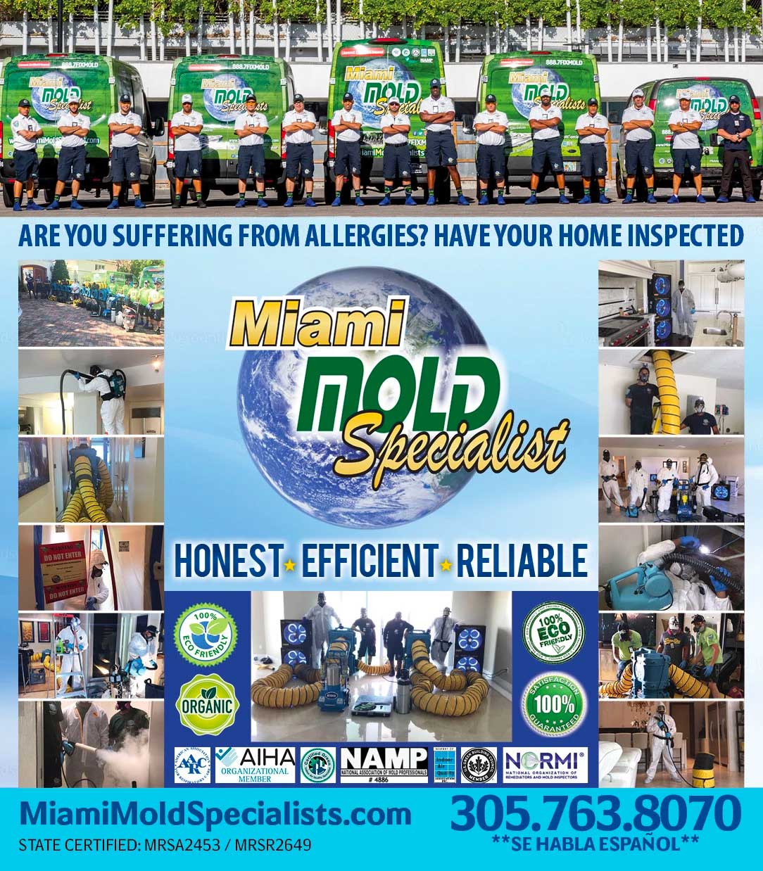 Why Miami Mold Specialists? Miami Mold
