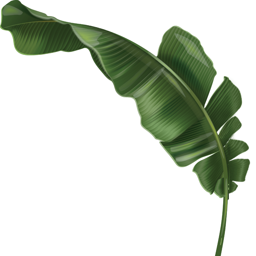 Treetop Trekking Miami Fun Adventures in Miami Florida