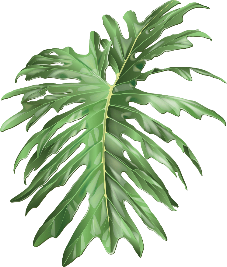 Treetop Trekking Miami Fun Adventures in Miami Florida