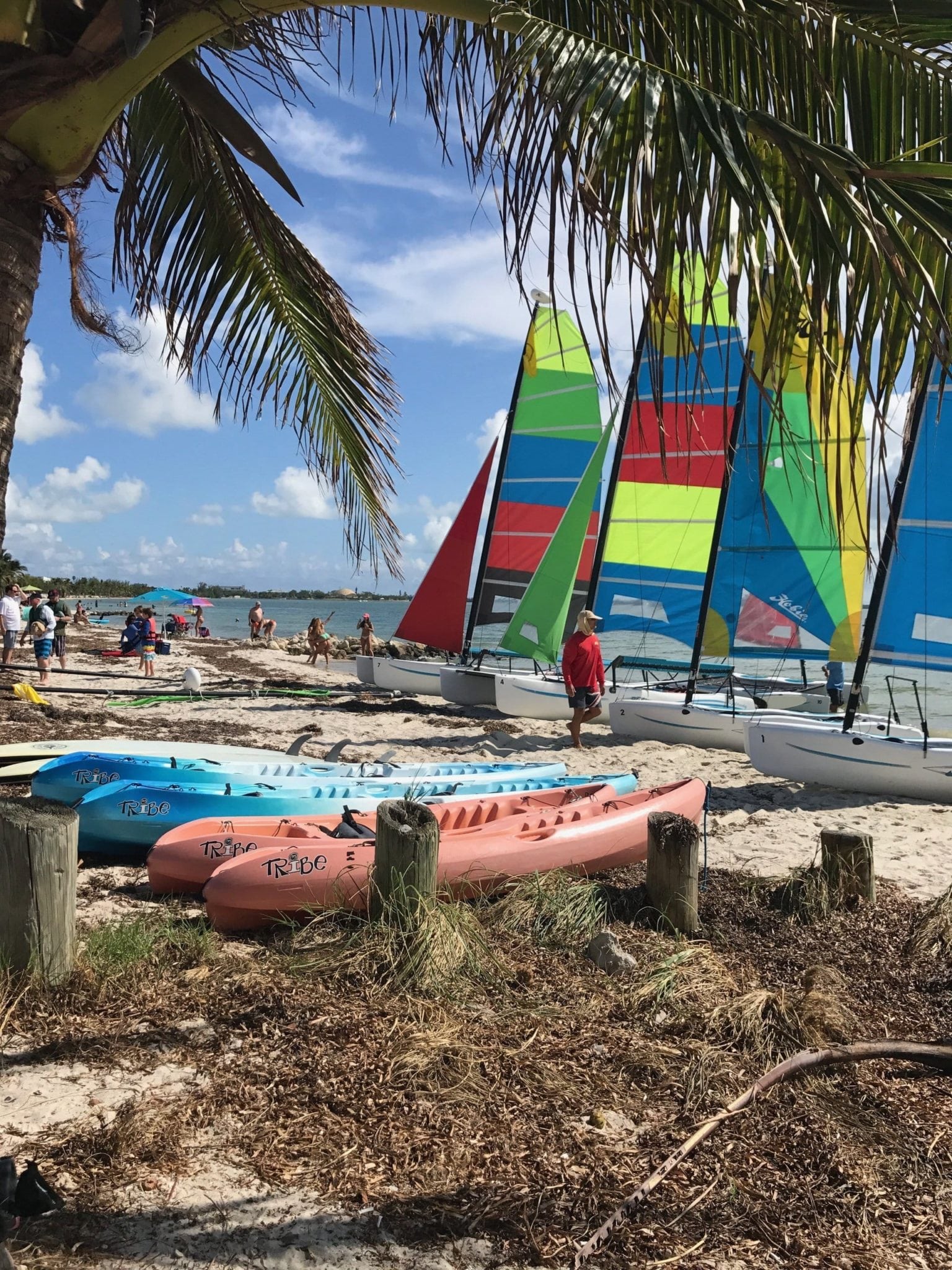 Best Water Activities Package deals in Miami Miami Watersports