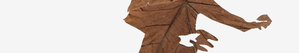 Michael Schuster Vita mianki.Gallery, Berlin