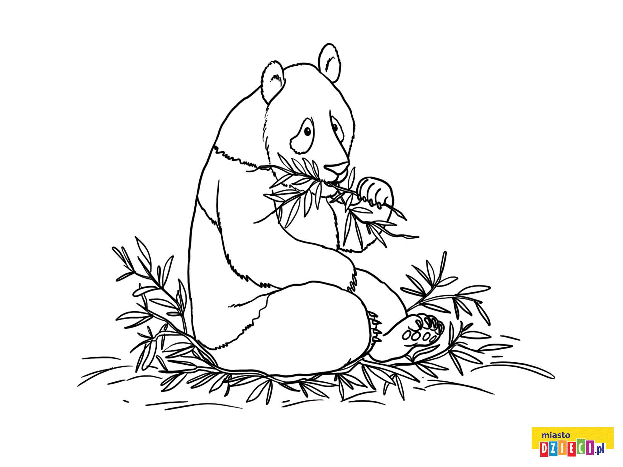 Kolorowanka Panda
