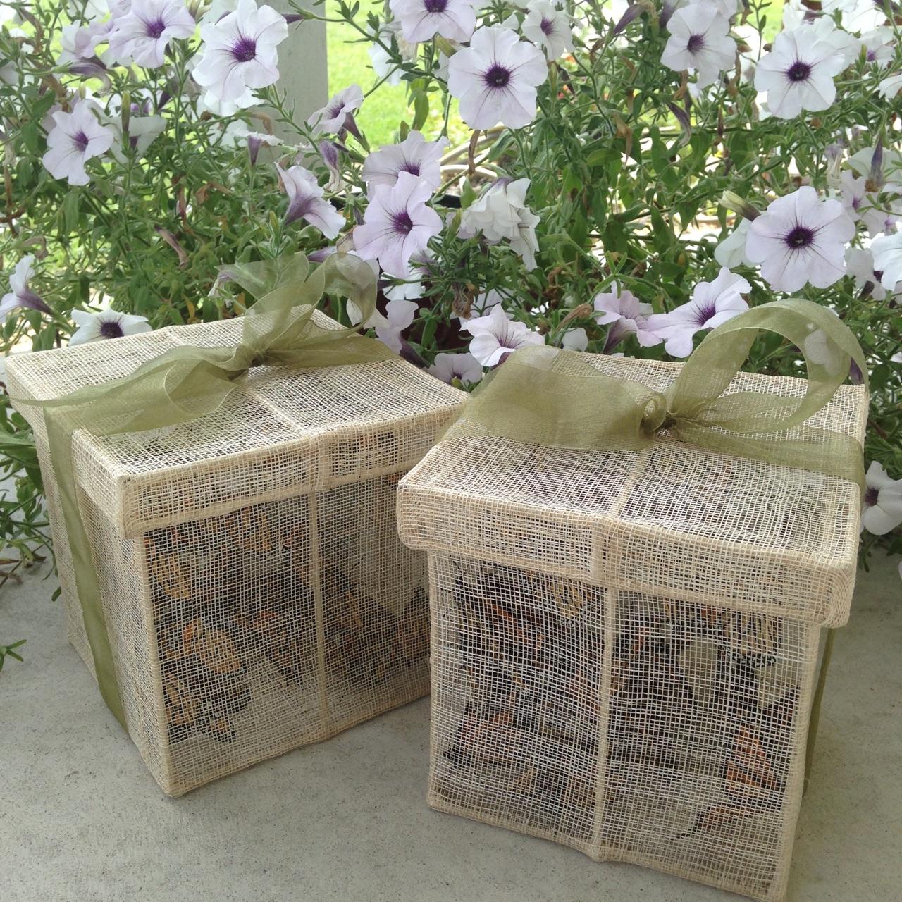 3 Dozen Monarch Butterflies 2 Release Boxes Michigan Native