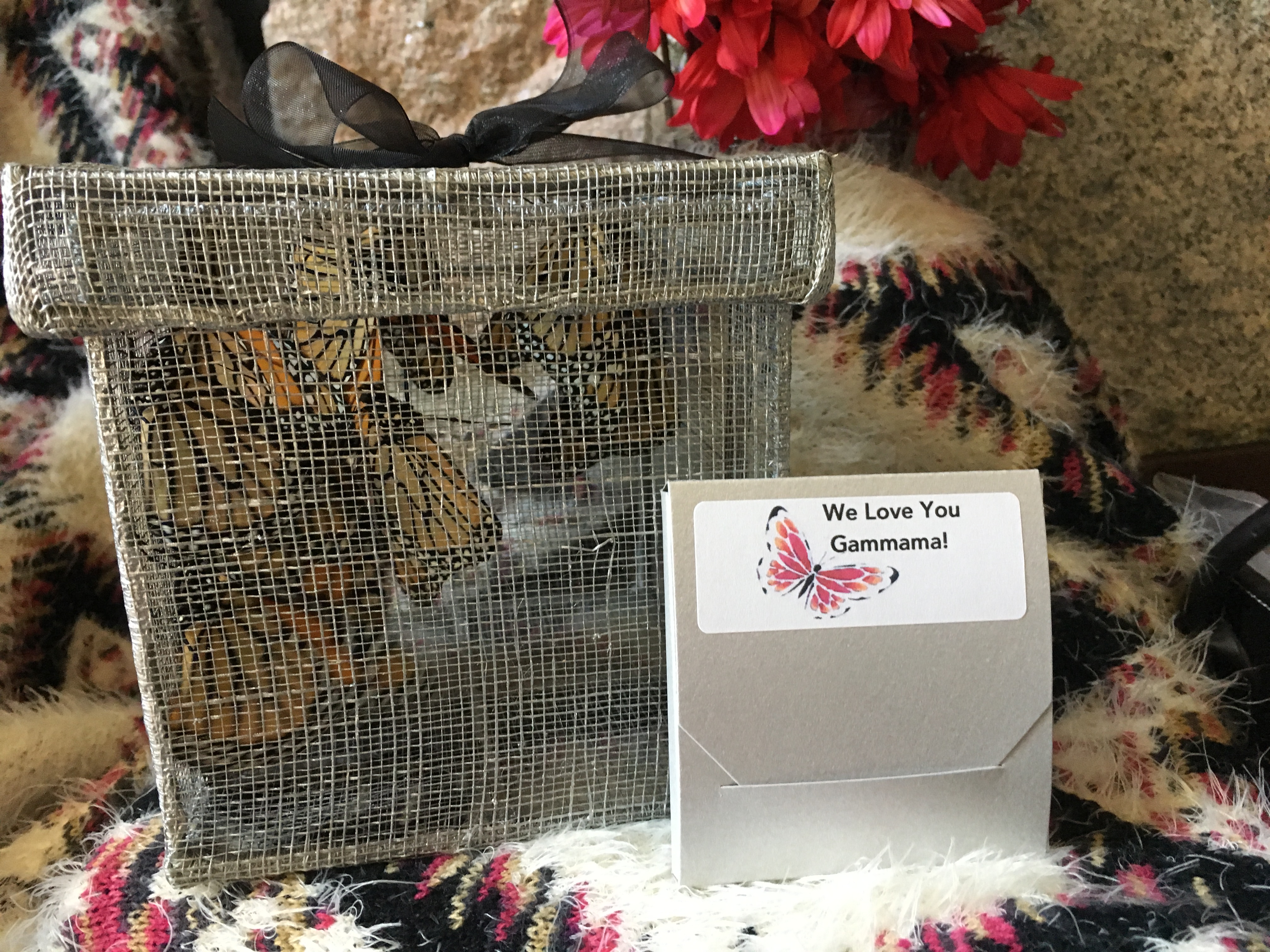 50 Monarch Butterflies 12 Butterflies in a Sinamay Release Box and 38