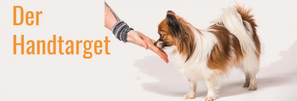 Target Training Der Handtarget Micadogs OnlineHundeschule