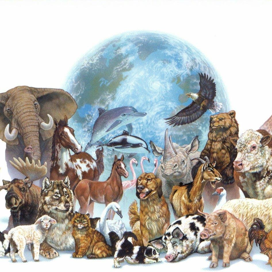 Biología Animal Qué es, carrera y mucho más sobre ella