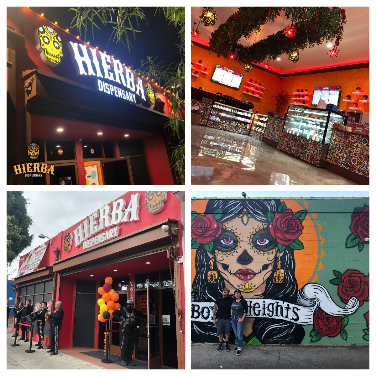 Marijuana Shop, Marijuana Dispensary, Weed Dispensary & Cannabis