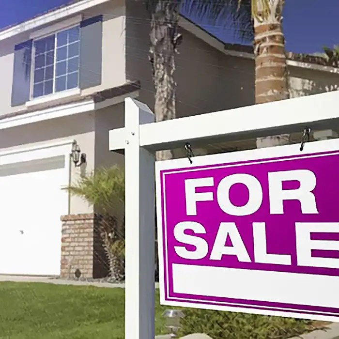 Mi Casa Real Estate Company Real Estate Business