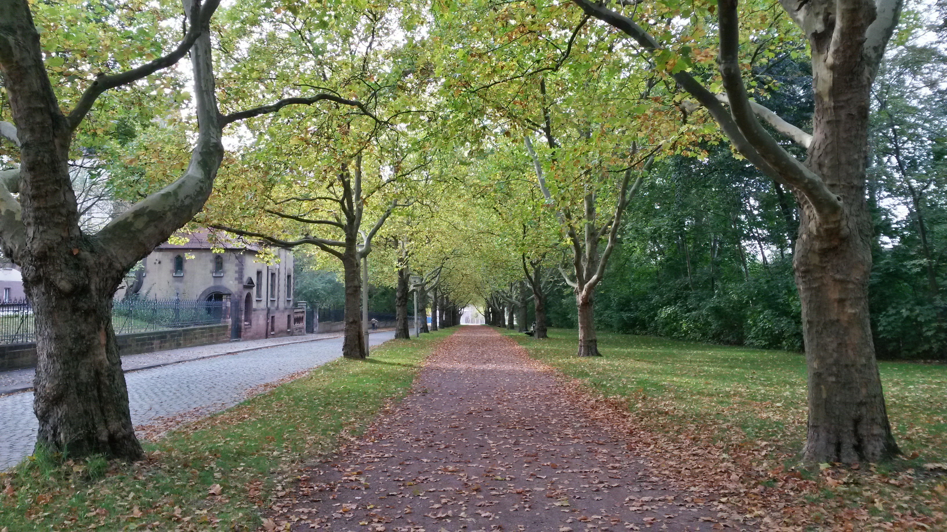 Herbstspaziergang in Halle Michael Voß