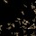 sec_cos_10 thumbnail