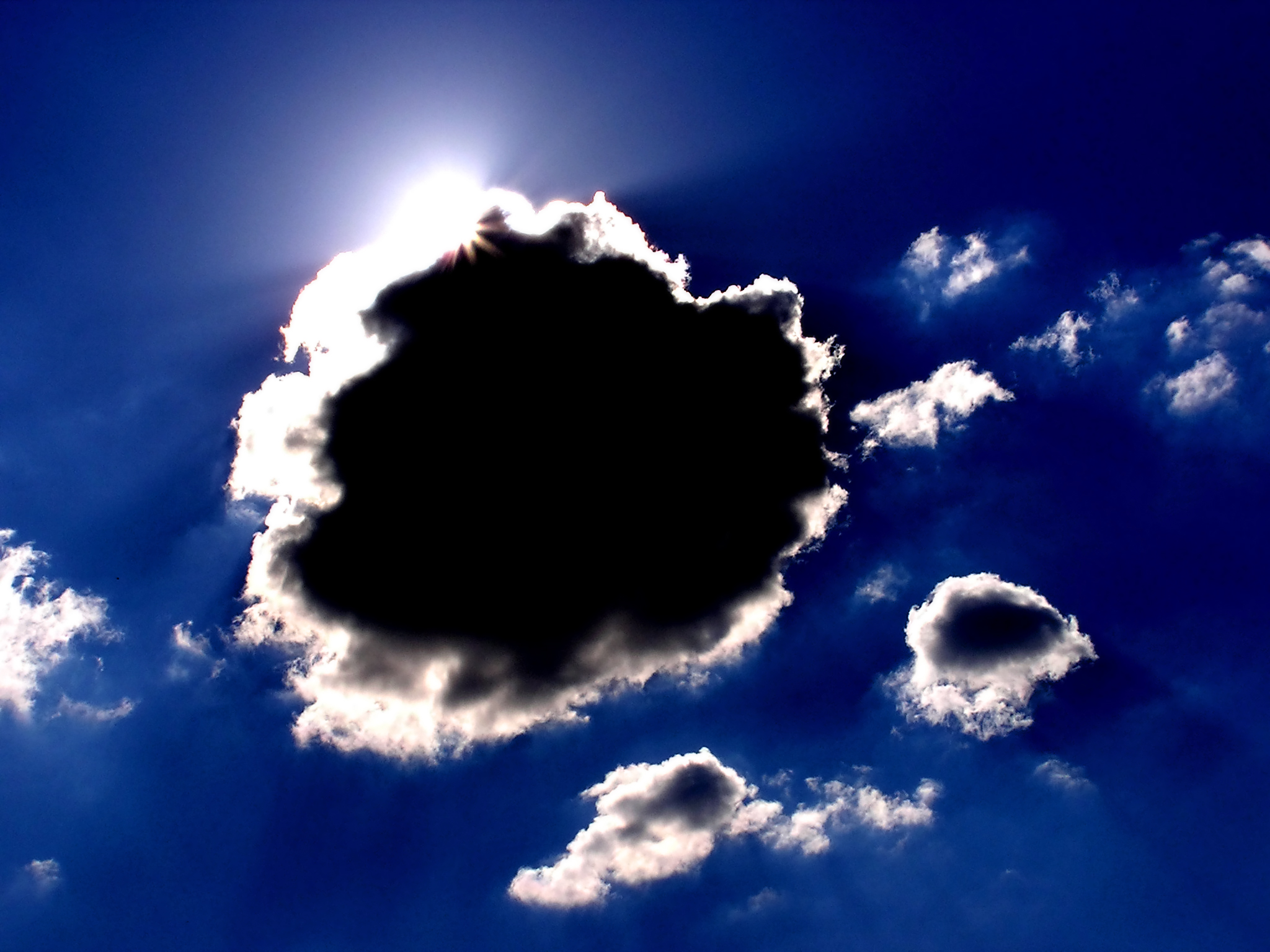 Why Artists Fail The Art of Michael Brugh